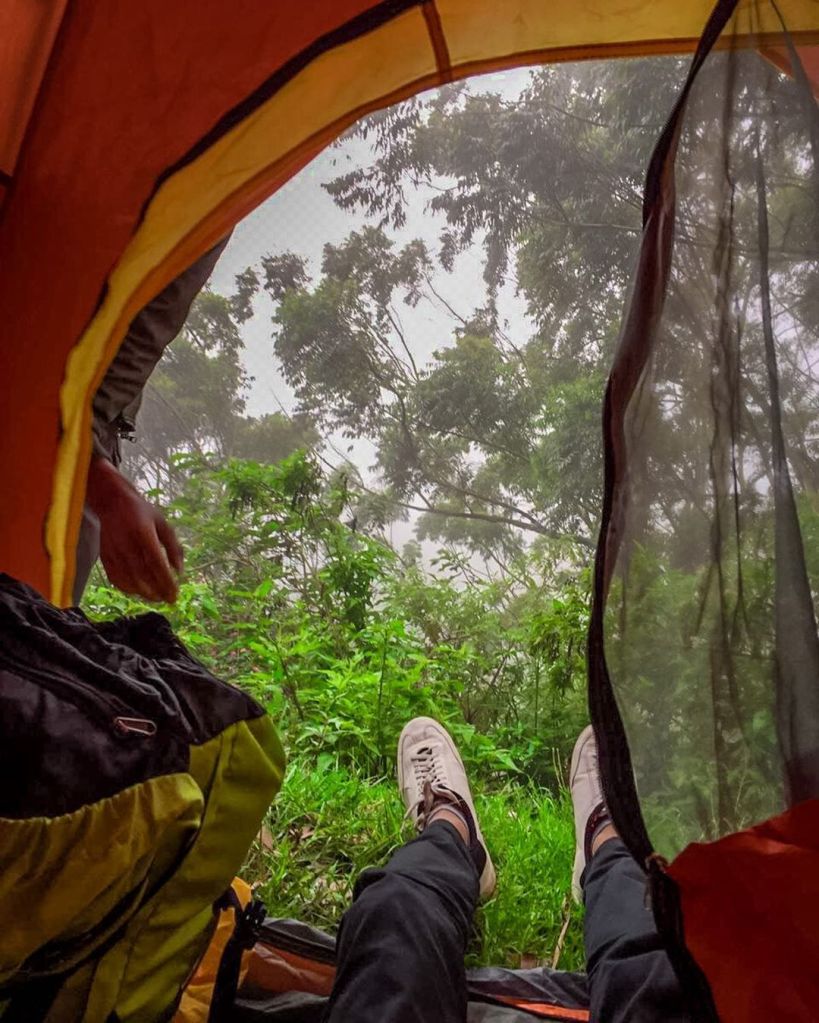 Camping in Srilanka
www.ceylonwhales.com