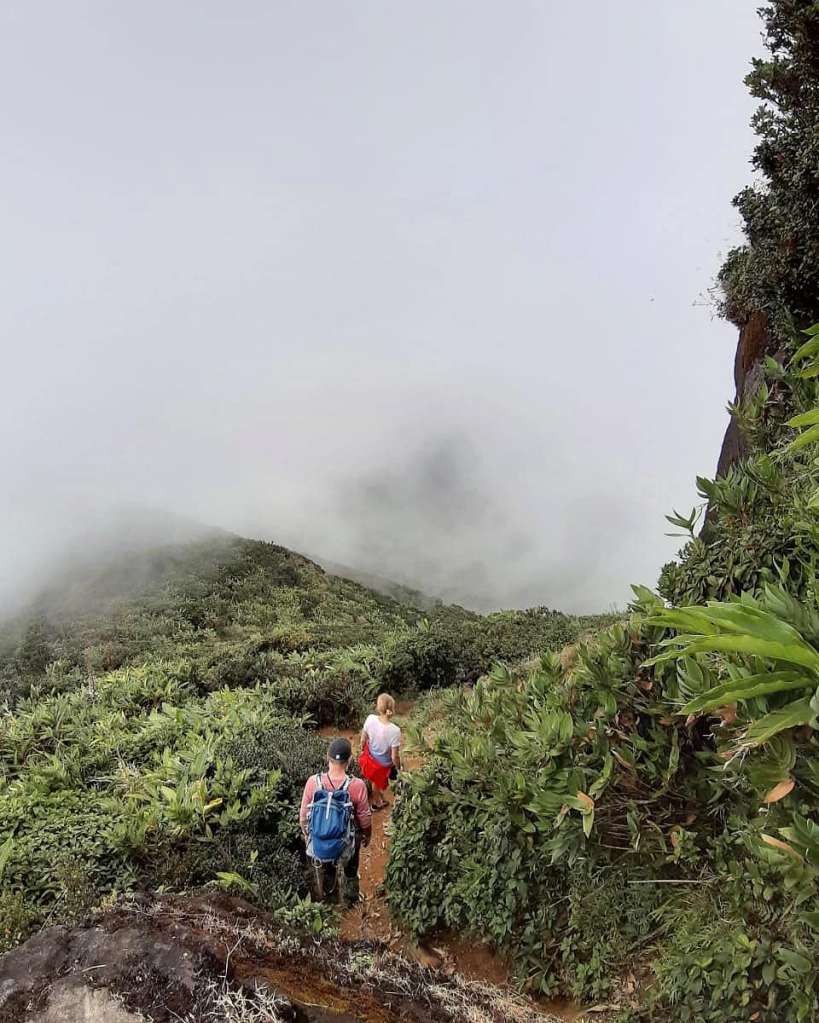 Hiking in srilanka
www.ceylonwhales.com