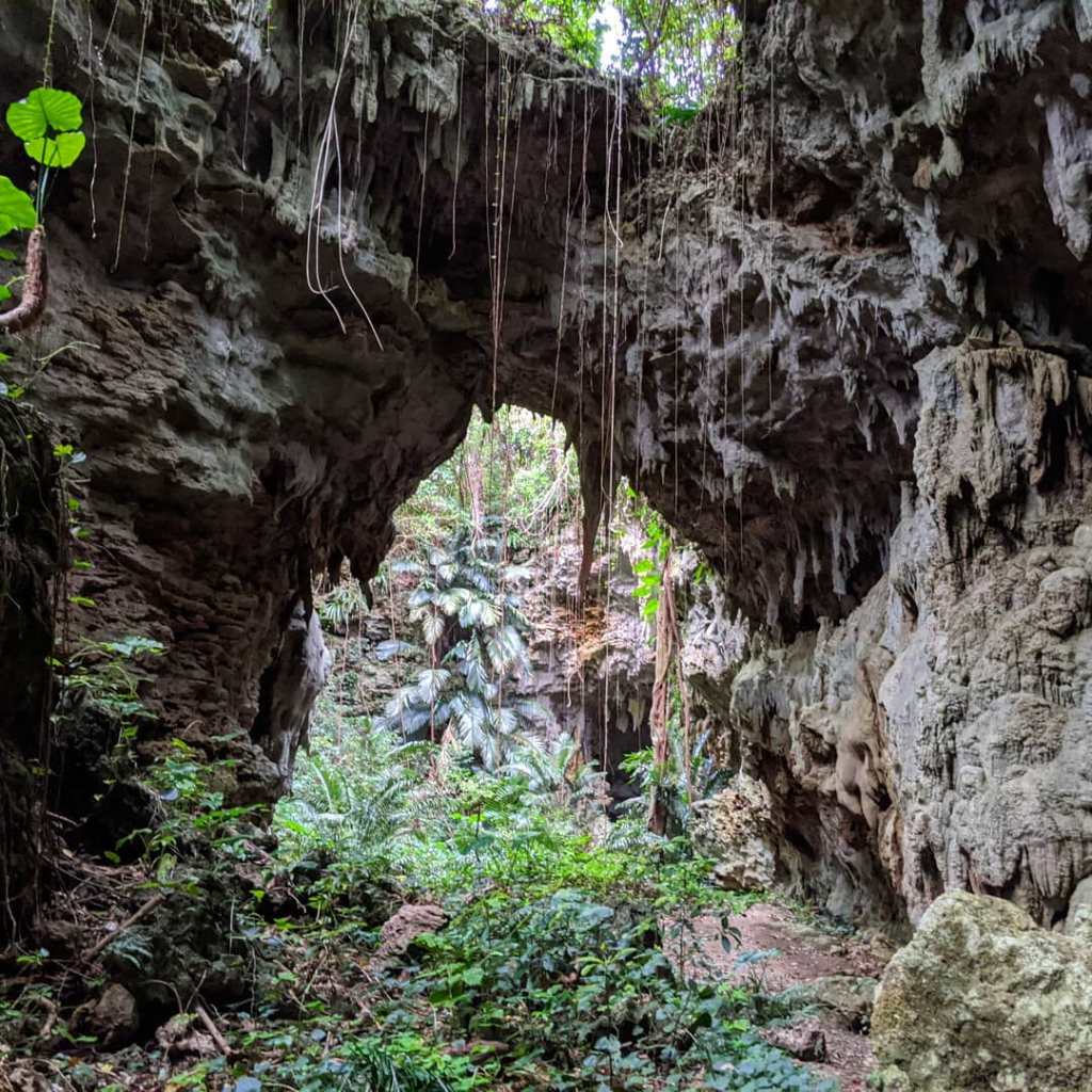 Caving or Speleology
www.ceylonwhales.com